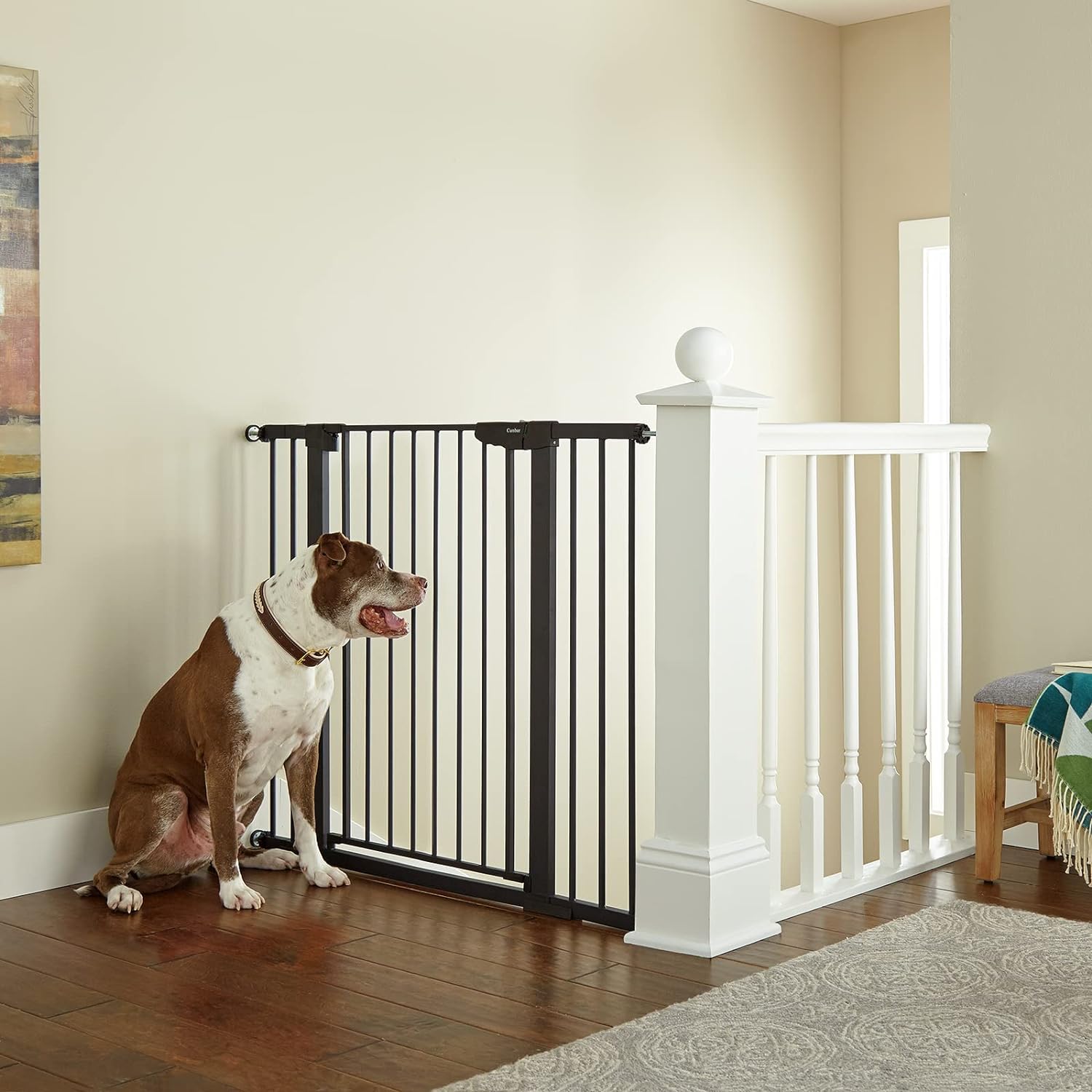 230322144343153_1 Mom's Choice Awards Winner-Cumbor 29.5-46" Auto Close Baby Gate for Stairs, Easy Install Pressure/Hardware Mounted Dog Gates for The House Indoor, Easy Walk Thru Wide Safety Pet Gates for Dogs, White - Image 1